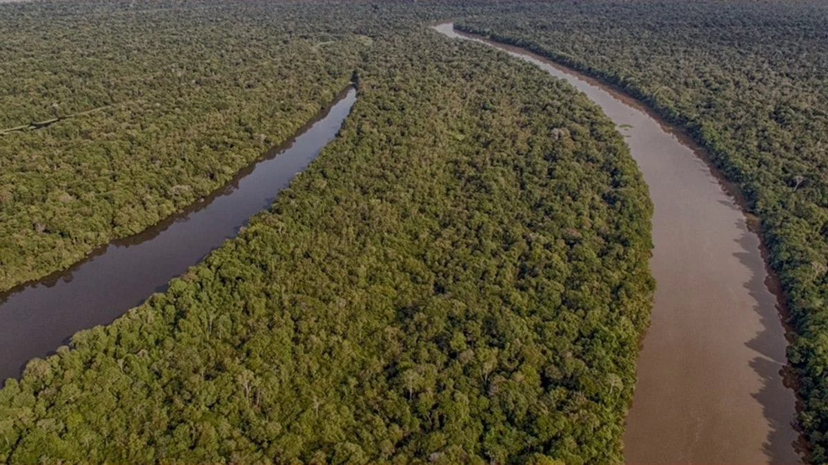 os impactos do agronegócio na Amazônia