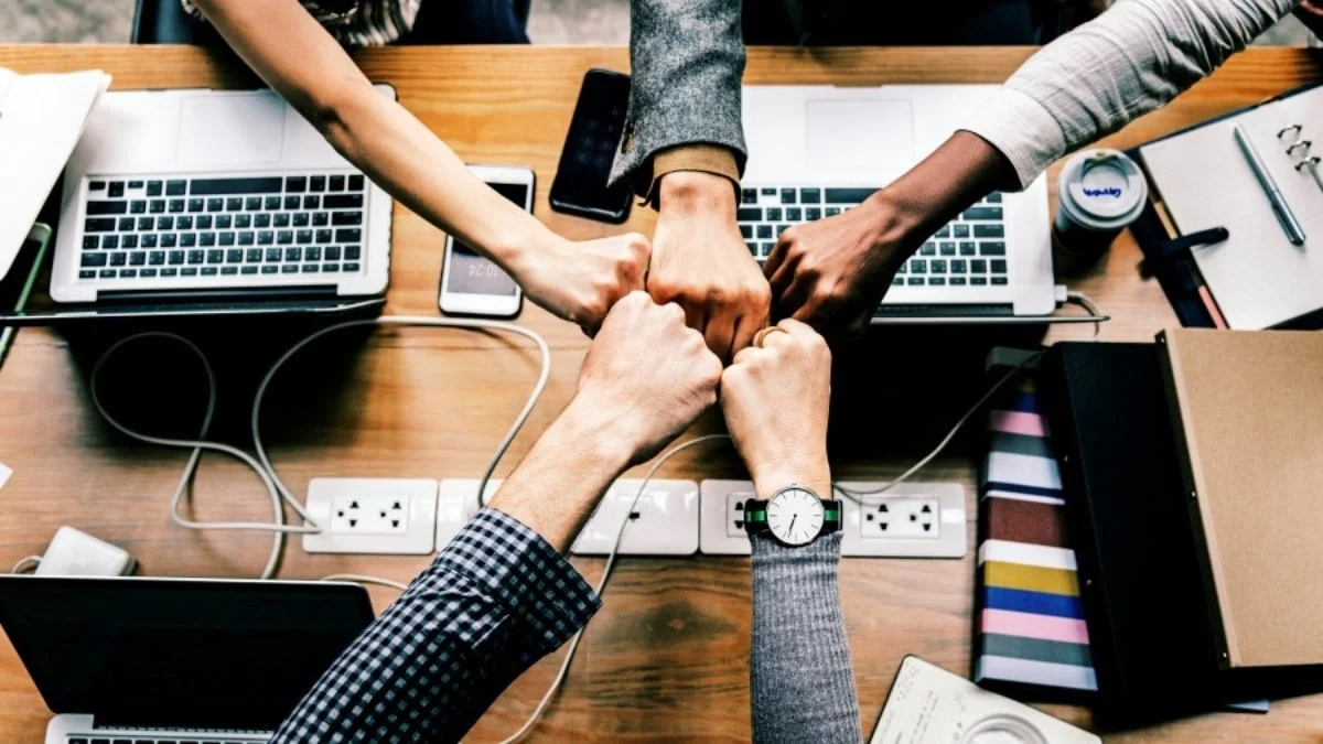 além da psicologia e assistência social
