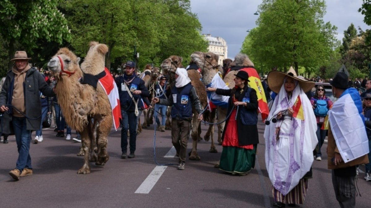 Paris sedia desfile polêmico de camelídeos de todo o mundo