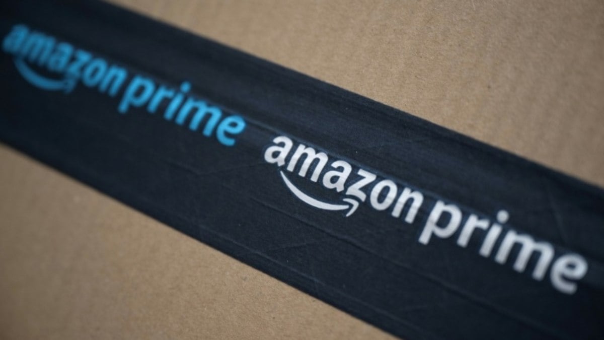 Gata viaja centenas de quilômetros em pacote da Amazon nos EUA Gata viaja centenas de quilômetros em pacote da Amazon nos EUA