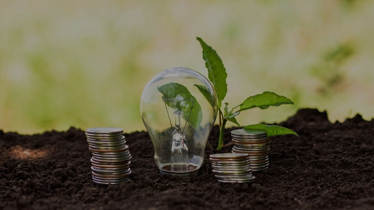 também é para a economia também é para a economia