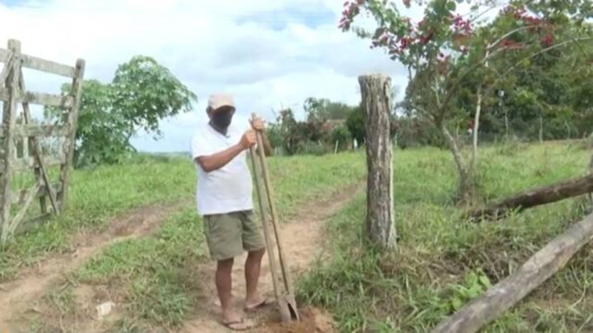 ocupação na agricultura diminuiu 3,5% em comparação anual ocupação na agricultura diminuiu 3,5% em comparação anual