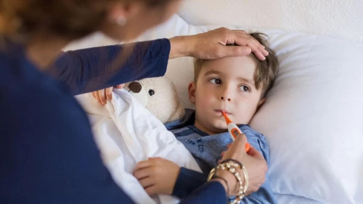 Veja os sintomas e como prevenir a febre oropouche