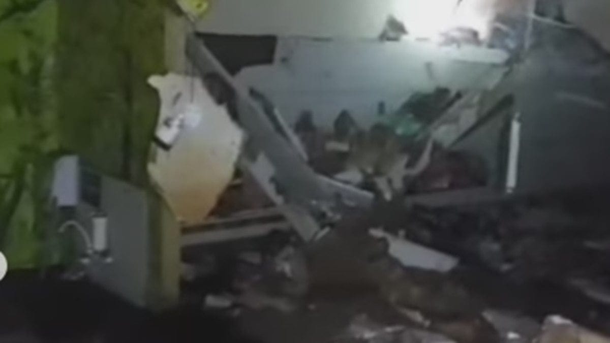 Cobasi salvou computadores e deixou animais no subsolo, diz delegada Cobasi salvou computadores e deixou animais no subsolo, diz delegada