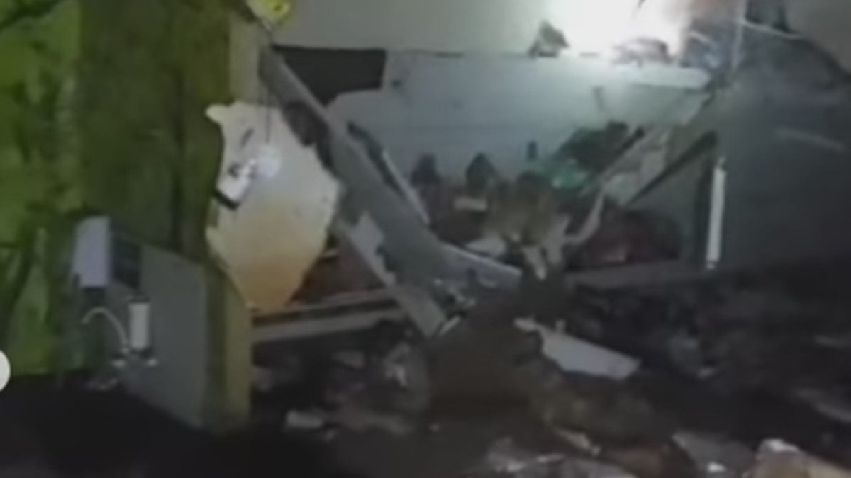 Defensoria pede indenização de R$ 50 mi da Cobasi por morte de animais