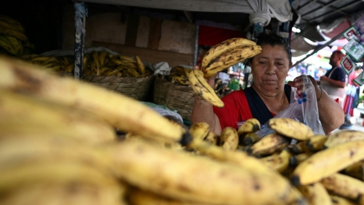 Reativação econômica de El Salvador, o novo desafio de Bukele Reativação econômica de El Salvador, o novo desafio de Bukele