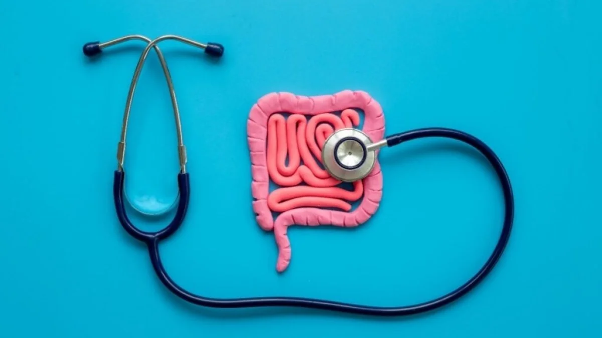 Conheça os tipos de doenças inflamatórias intestinais