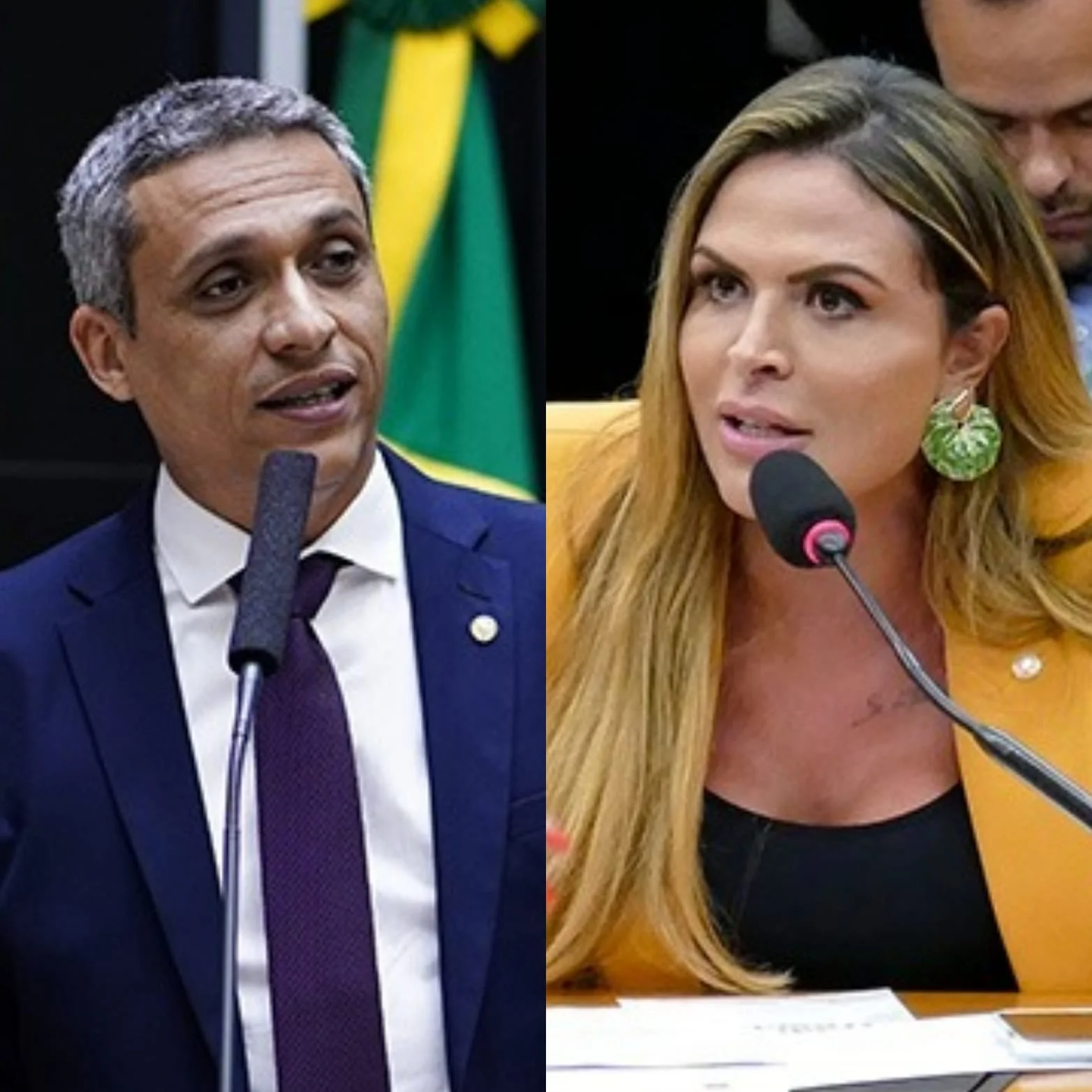 Parlamentares goianos discutem sobre projeto de lei