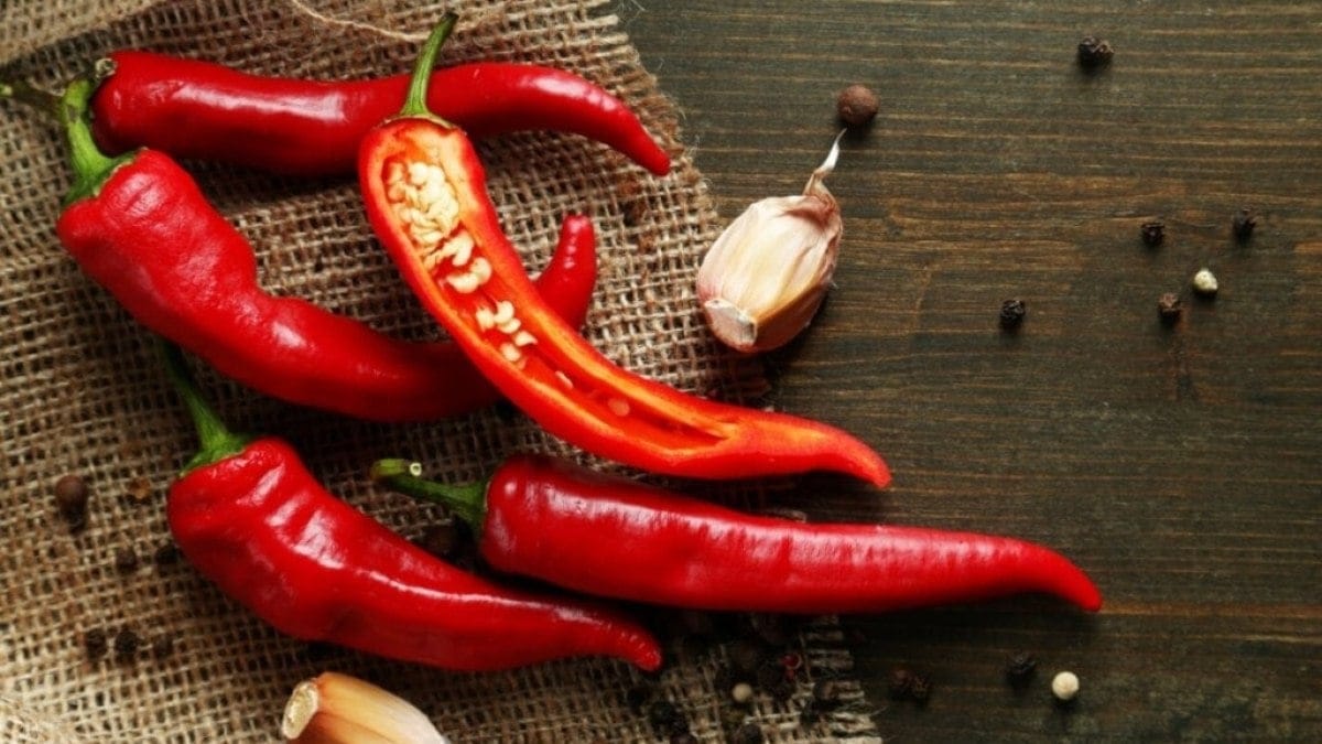 5 benefícios da pimenta e como incluí-la na alimentação 5 benefícios da pimenta e como incluí-la na alimentação