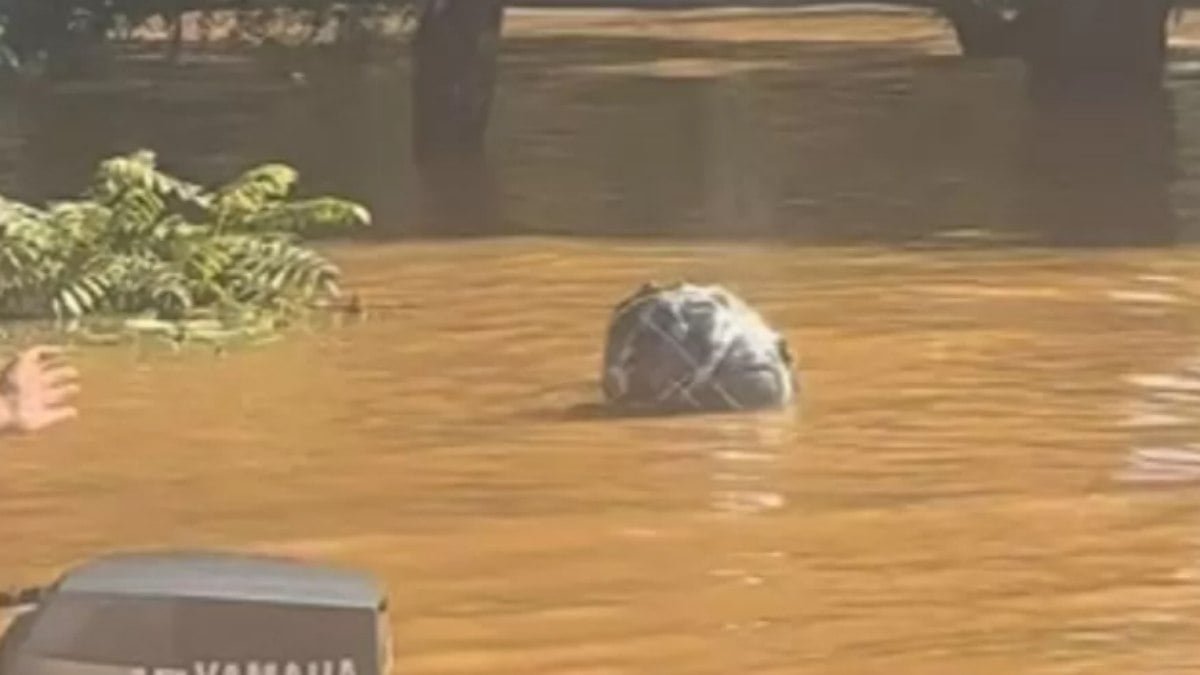 homem nada em enchente por 5 horas agarrado a saco de roupa