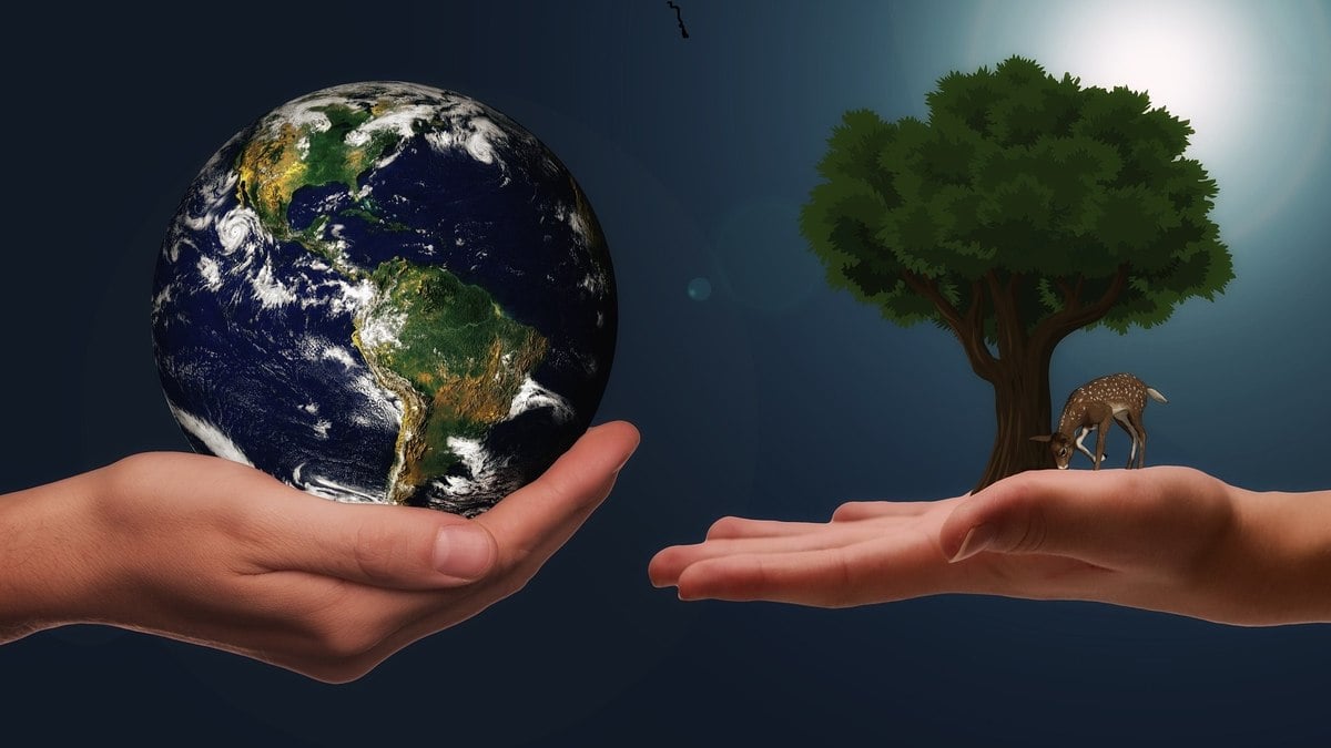 O que são empresas sustentáveis? O que são empresas sustentáveis?