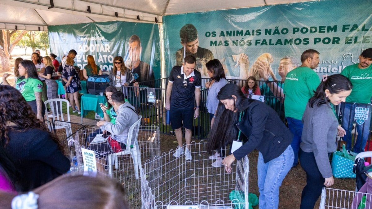 feira “Audote um Amigo” encontra lares para 129 cães e gatos no 1ª semestre feira “Audote um Amigo” encontra lares para 129 cães e gatos no 1ª semestre