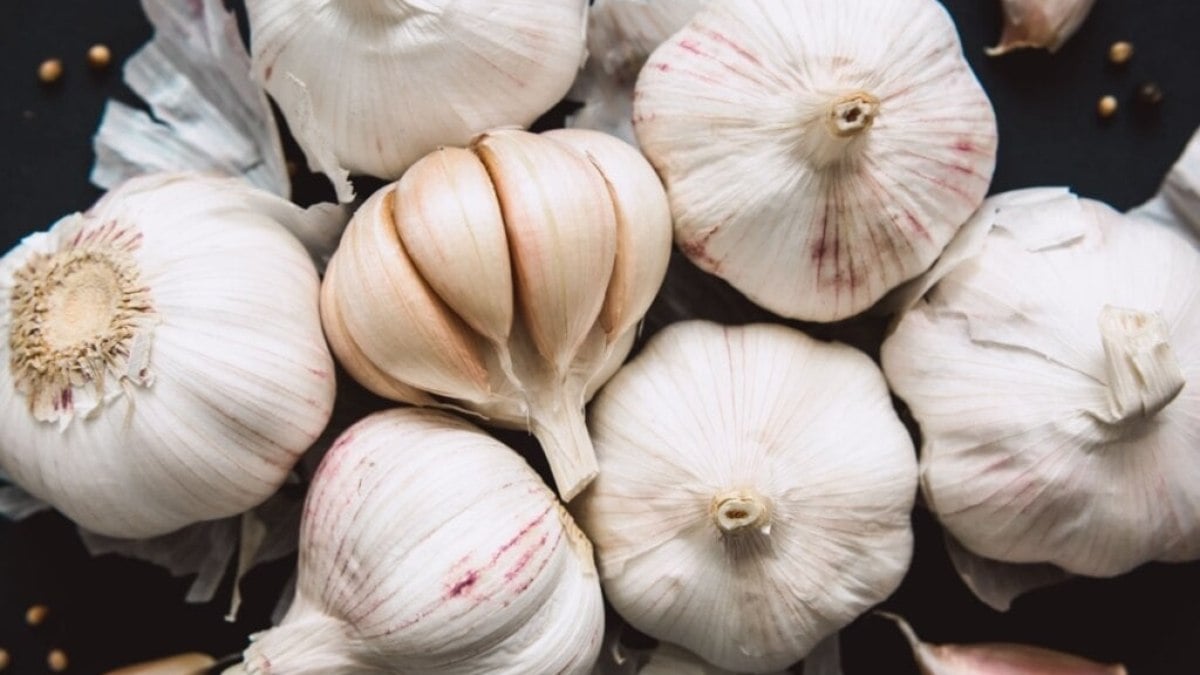 6 alimentos para melhorar a imunidade 6 alimentos para melhorar a imunidade