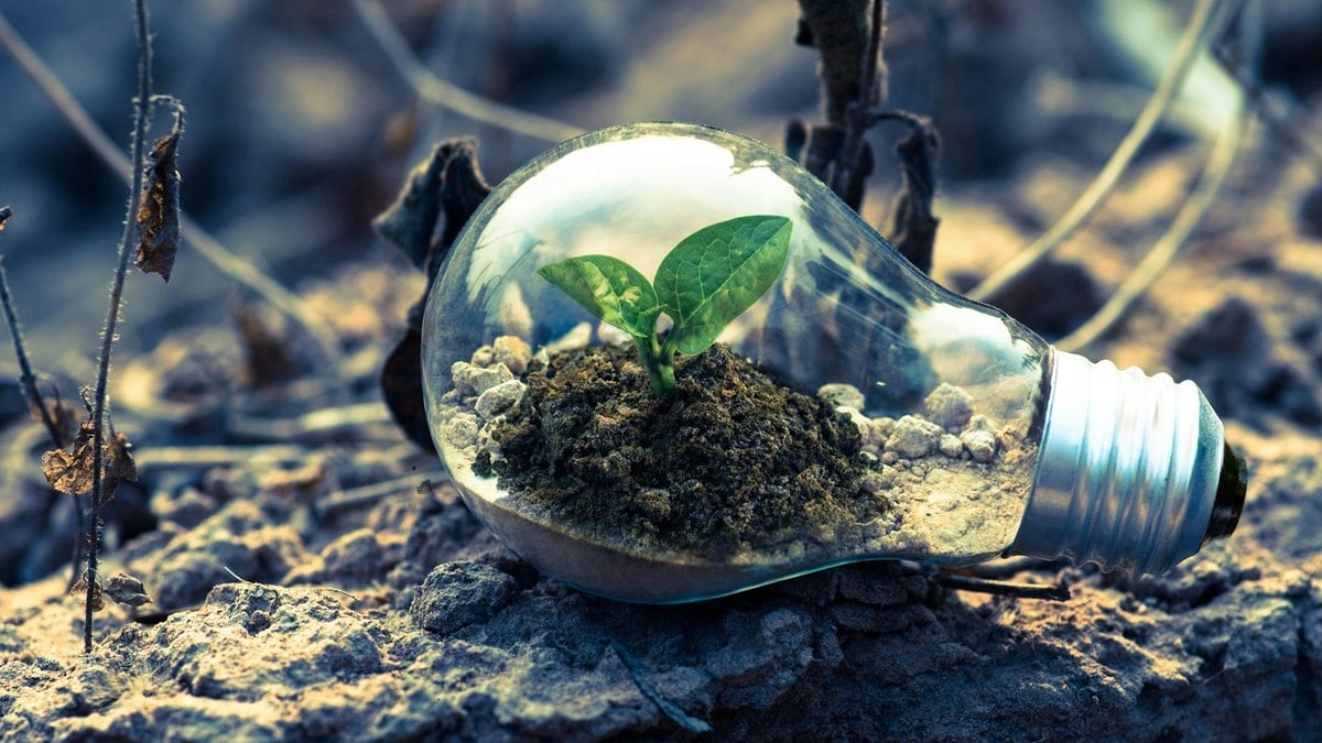 Sustentabilidade cria valor a longo prazo na empresa, avalia pesquisa Sustentabilidade cria valor a longo prazo na empresa, avalia pesquisa