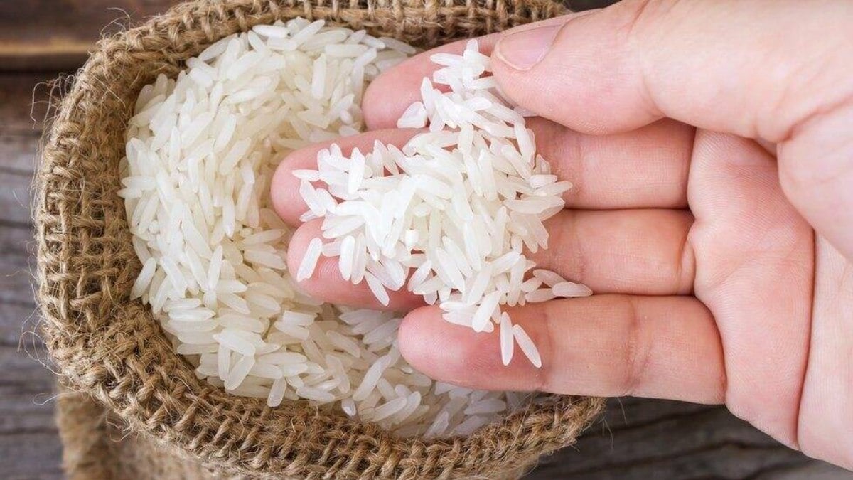 Justiça derruba liminar e leilão de compra do arroz está mantido Justiça derruba liminar e leilão de compra do arroz está mantido