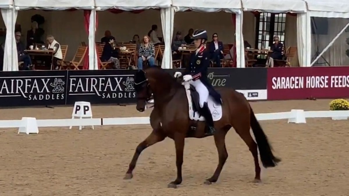 Fonte que vazou imagens de Dujardin agredindo cavalo celebra punição à campeã olímpica Fonte que vazou imagens de Dujardin agredindo cavalo celebra punição à campeã olímpica