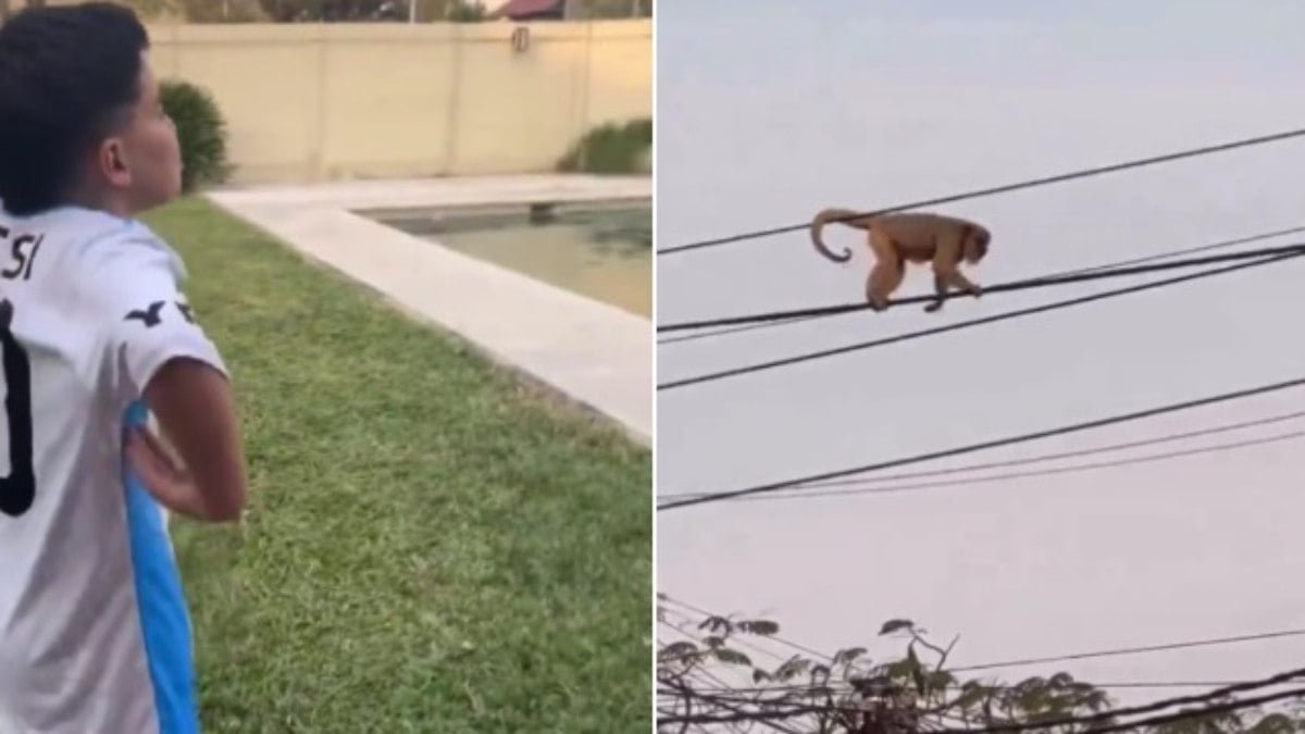 Vídeo de criança argentina chamando macaco de Vini Jr causa espanto; assista