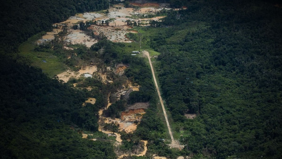 A batalha tecnológica em áreas protegidas da Amazônia A batalha tecnológica em áreas protegidas da Amazônia