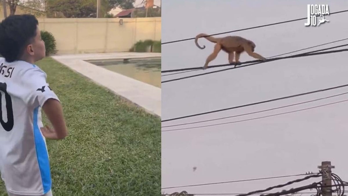 Criança com camisa da Argentina imita macaco e chama animal de Vini Jr Criança com camisa da Argentina imita macaco e chama animal de Vini Jr