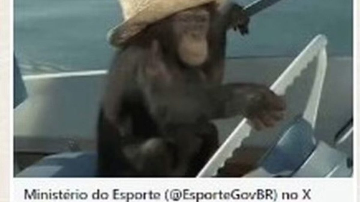 Perfil do Ministério do Esporte publica foto de macaco Perfil do Ministério do Esporte publica foto de macaco