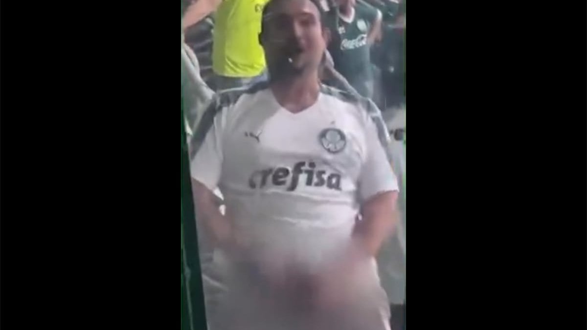 Palmeiras identifica torcedor que mostrou genitália para botafoguense Palmeiras identifica torcedor que mostrou genitália para botafoguense