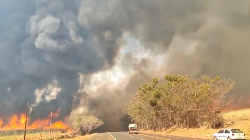 Dois funcionários de usina morrem durante combate a incêndio no interior paulista Dois funcionários de usina morrem durante combate a incêndio no interior paulista