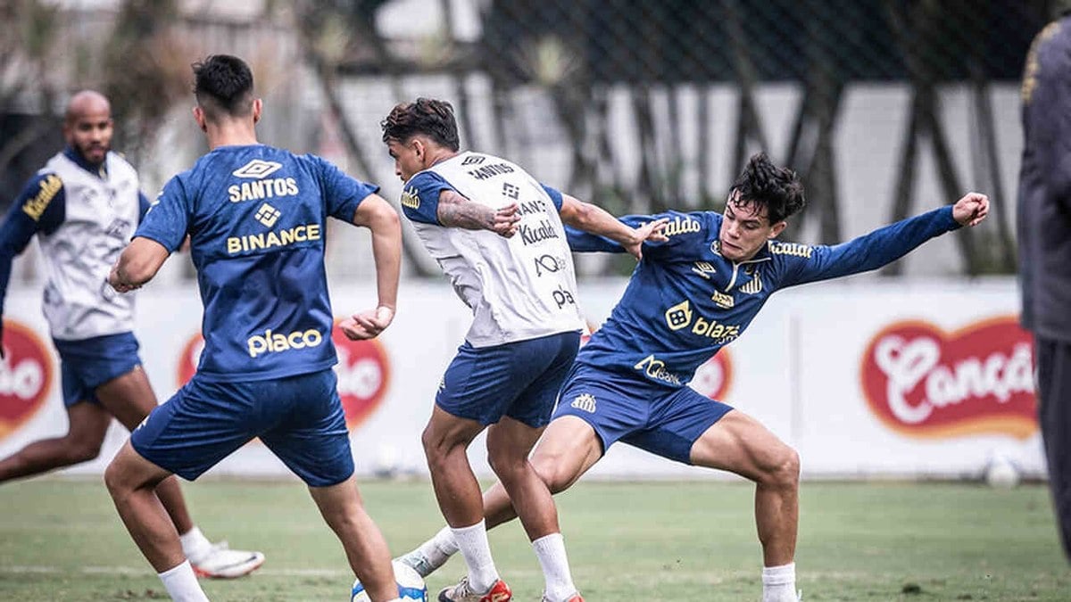 Santos deve manter base invicta na Série B contra o Avaí Santos deve manter base invicta na Série B contra o Avaí
