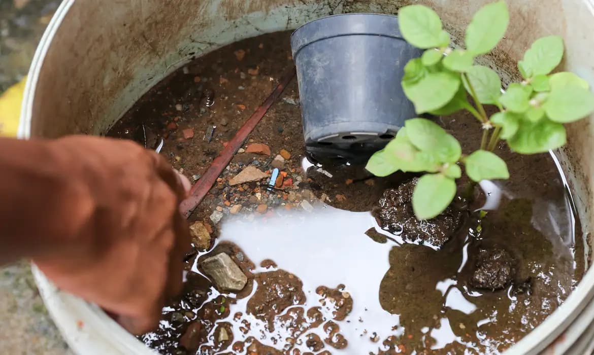 Brasil ultrapassa marca de 5 mil mortes por dengue – ac24horas.com Brasil ultrapassa marca de 5 mil mortes por dengue – ac24horas.com