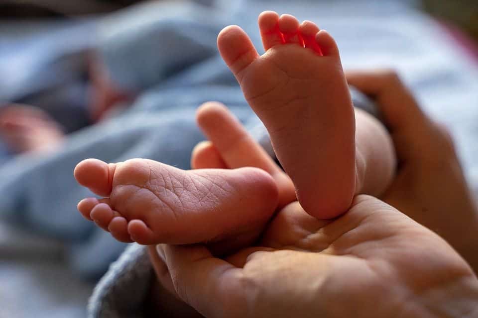 No Acre, bebê nasce com anomalia associada à Oropouche e morre após 47 dias de vida – ac24horas.com No Acre, bebê nasce com anomalia associada à Oropouche e morre após 47 dias de vida – ac24horas.com