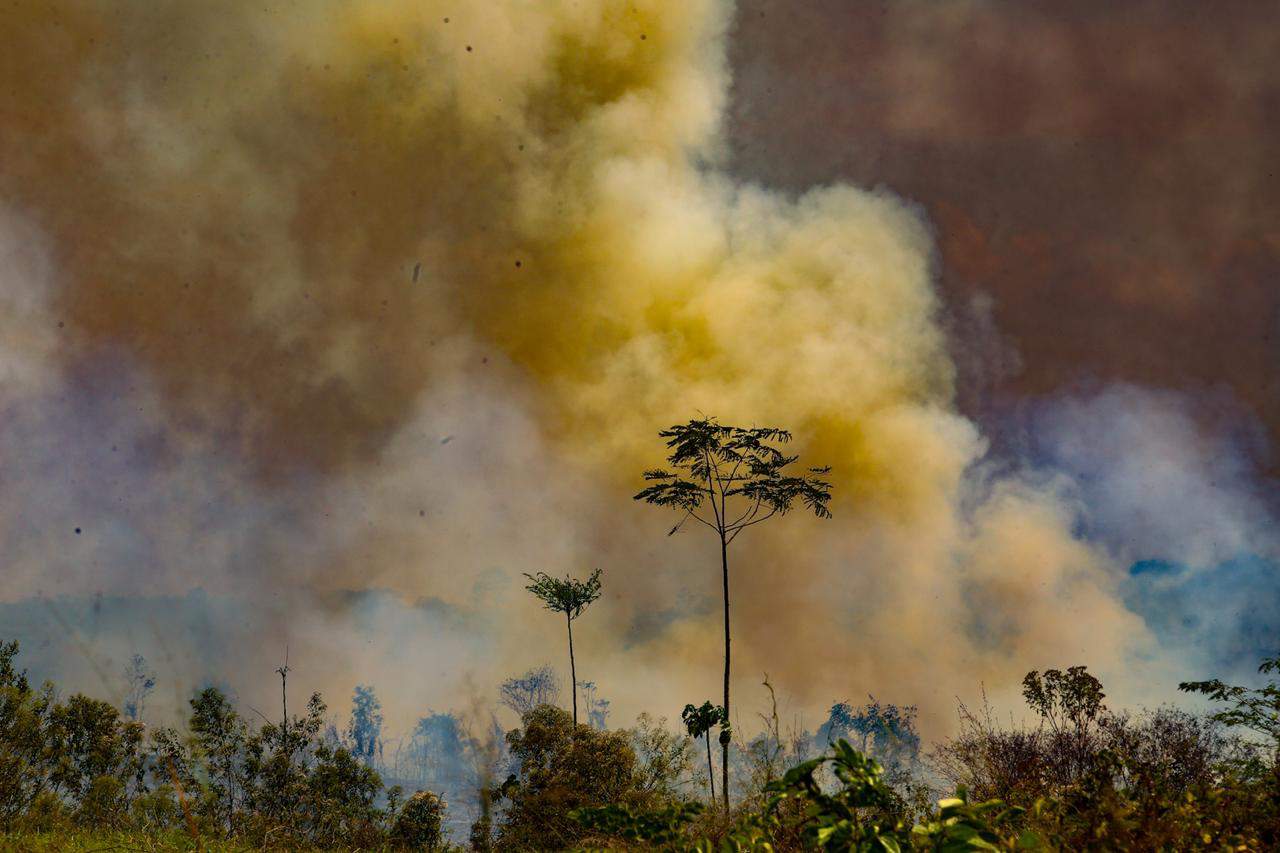 Confira orientações do Ministério da Saúde para evitar exposição a fumaça e neblina – ac24horas.com Confira orientações do Ministério da Saúde para evitar exposição a fumaça e neblina – ac24horas.com