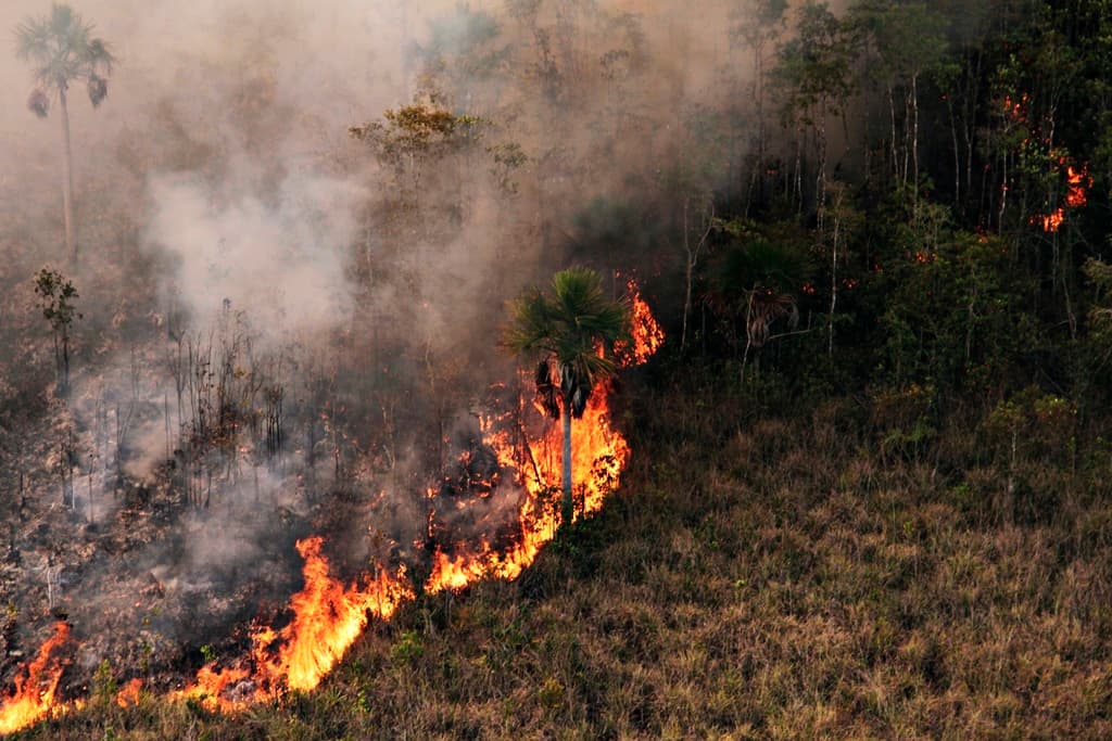 Acre fecha julho com 17.200 hectares de cicatrizes de queimadas – ac24horas.com Acre fecha julho com 17.200 hectares de cicatrizes de queimadas – ac24horas.com