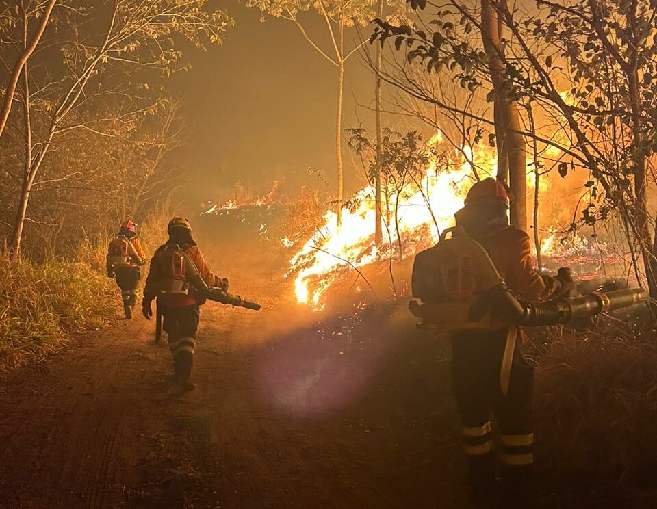Bombeiros entram no 4° dia de combate ao incêndio no Parque Bombeiros entram no 4° dia de combate ao incêndio no Parque