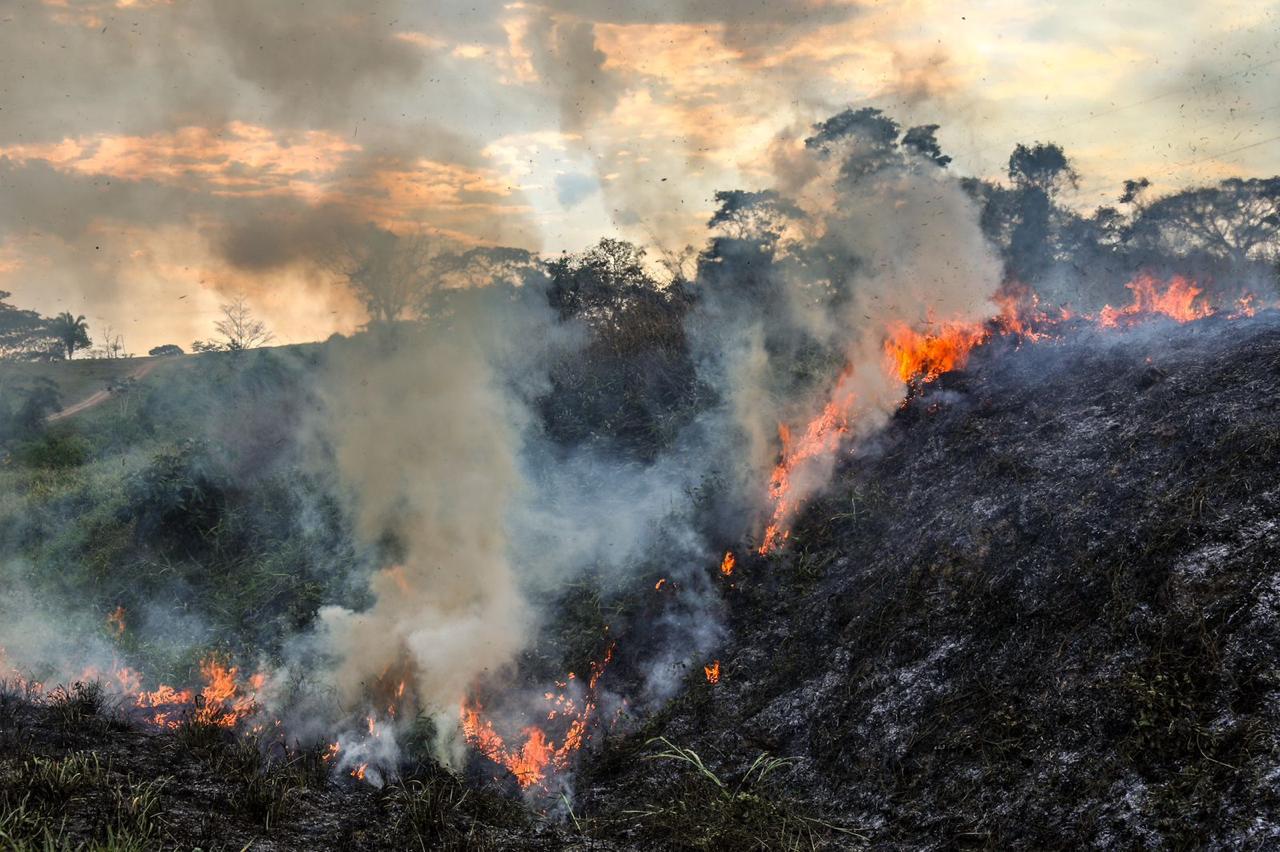 Vale do Juruá registra 20 queimadas e incêndios florestais em 24 horas – ac24horas.com Vale do Juruá registra 20 queimadas e incêndios florestais em 24 horas – ac24horas.com