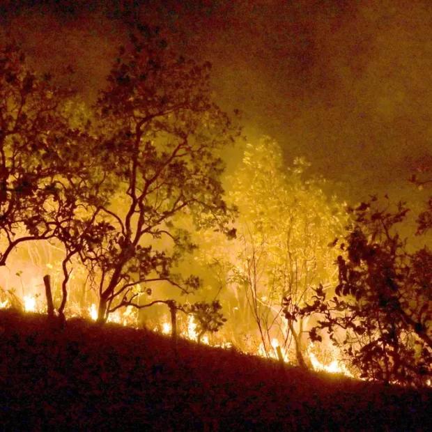 Governo Federal vai concentar ações contra queimadas na Amazônia – ac24horas.com Governo Federal vai concentar ações contra queimadas na Amazônia – ac24horas.com