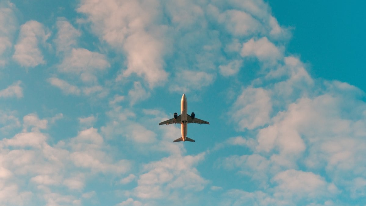 Setor de serviços cresce 1,7% em junho e bate recorde; transporte aéreo puxa alta Setor de serviços cresce 1,7% em junho e bate recorde; transporte aéreo puxa alta