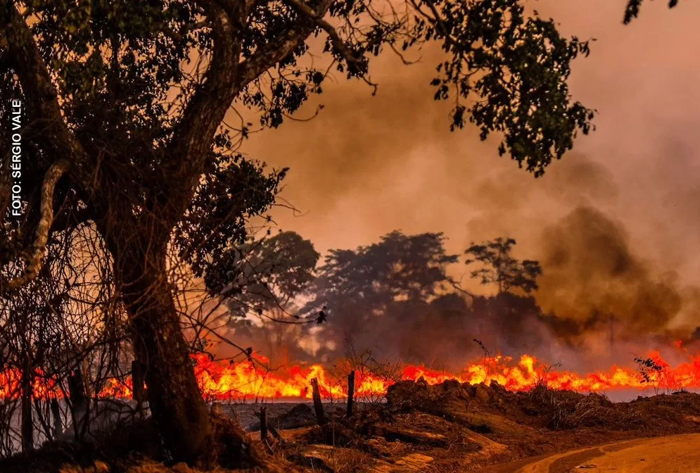 Quase 33 mil hectares de queimadas foram registradas no Acre em 2024 – ac24horas.com Quase 33 mil hectares de queimadas foram registradas no Acre em 2024 – ac24horas.com