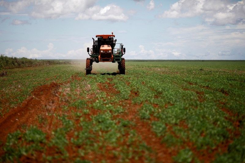 Entregas de fertilizantes passam a cair no Brasil no acumulado do ano, aponta Anda Entregas de fertilizantes passam a cair no Brasil no acumulado do ano, aponta Anda