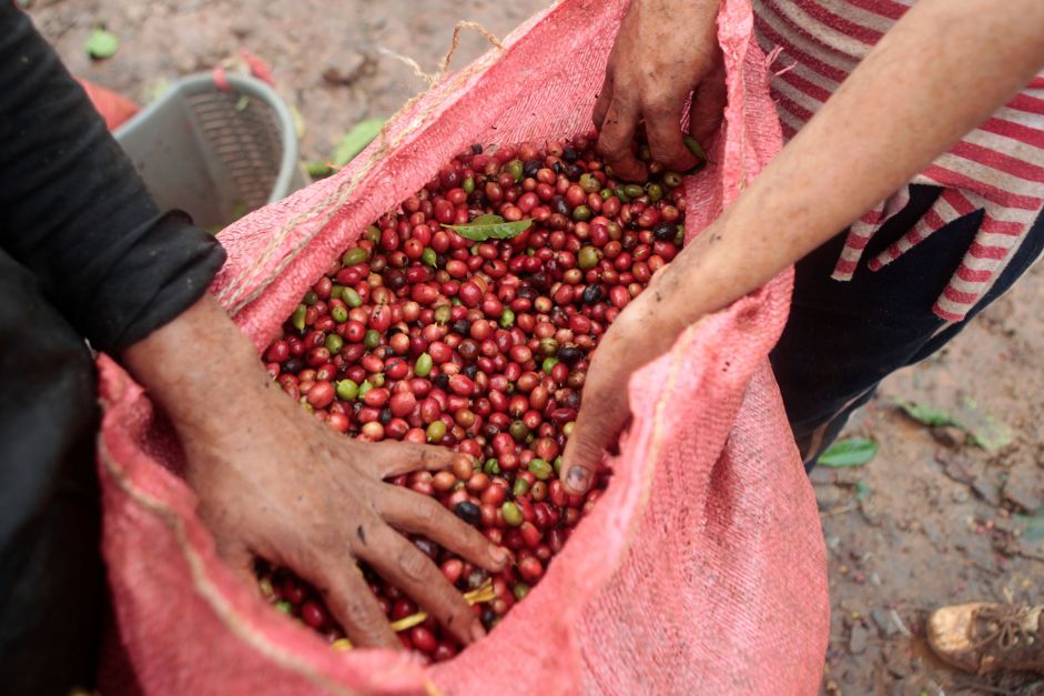 Preços do café devem subir ainda mais até o final de 2024, mostra pesquisa Preços do café devem subir ainda mais até o final de 2024, mostra pesquisa