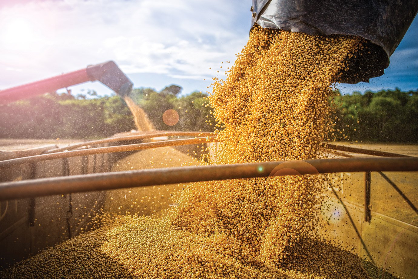 Sem porteiras: a estratégia da TIM para conectar 20 milhões hectares até o final do ano Sem porteiras: a estratégia da TIM para conectar 20 milhões hectares até o final do ano