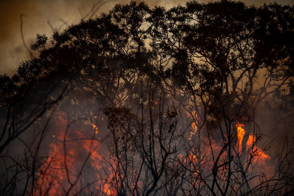 Governo cria novas multas e aumenta outras para incêndios florestais Governo cria novas multas e aumenta outras para incêndios florestais