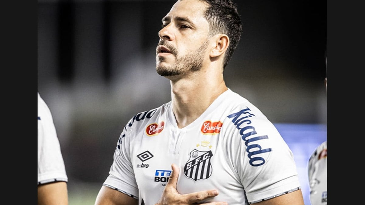 siga ao vivo o jogo da Série B do Brasileirão siga ao vivo o jogo da Série B do Brasileirão