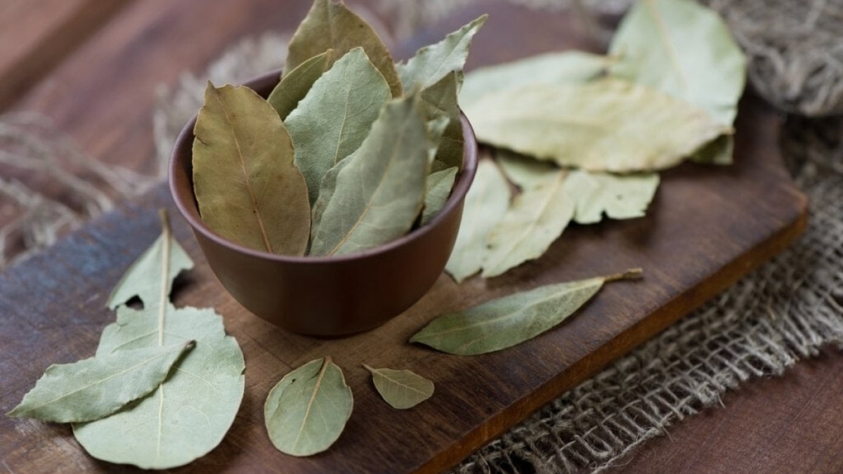 7 benefícios do chá de louro para a saúde e como prepará-lo 7 benefícios do chá de louro para a saúde e como prepará-lo