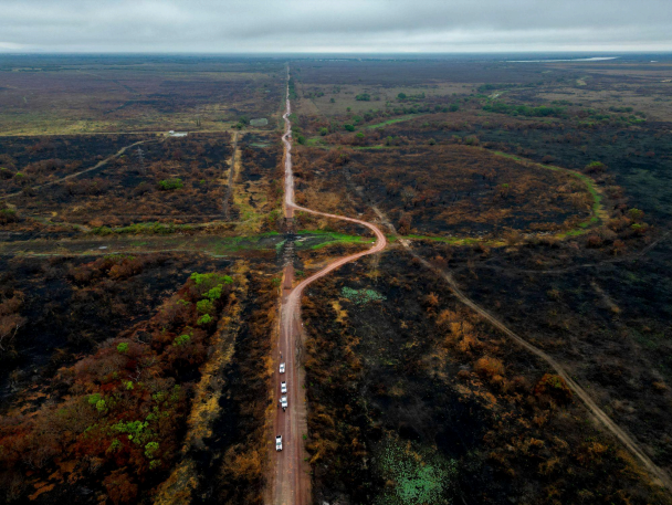 Brasil pode perder o Pantanal até o fim do século, diz Marina Silva Brasil pode perder o Pantanal até o fim do século, diz Marina Silva