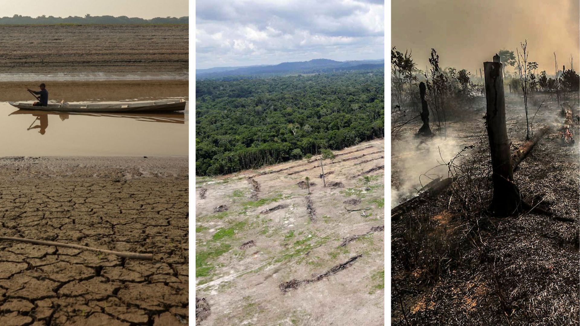 Estudiosos sabiam que a seca deste ano seria pior que a de 2023, diz especialista Estudiosos sabiam que a seca deste ano seria pior que a de 2023, diz especialista