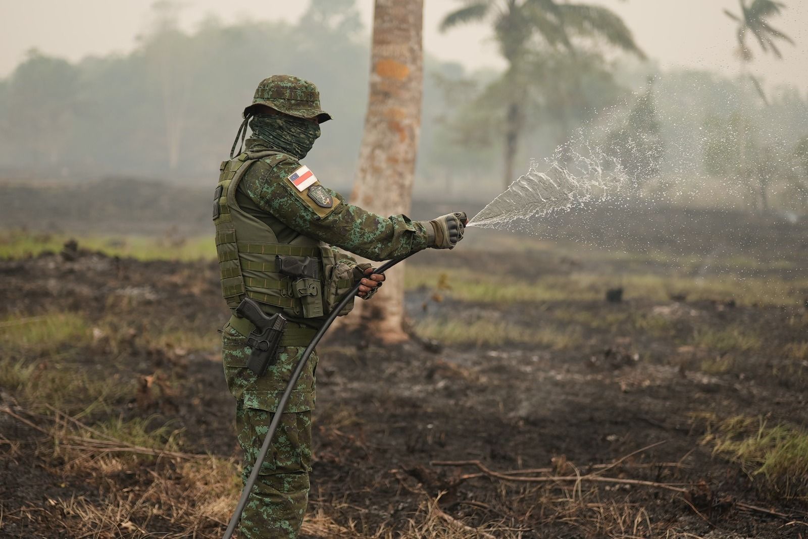 Amazonas tem pior agosto para queimadas desde 1998 Amazonas tem pior agosto para queimadas desde 1998