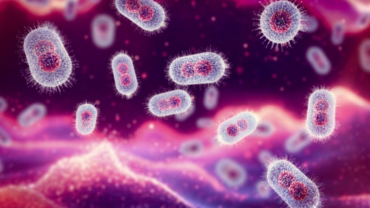Veja os sintomas e as formas de prevenção contra a mpox Veja os sintomas e as formas de prevenção contra a mpox