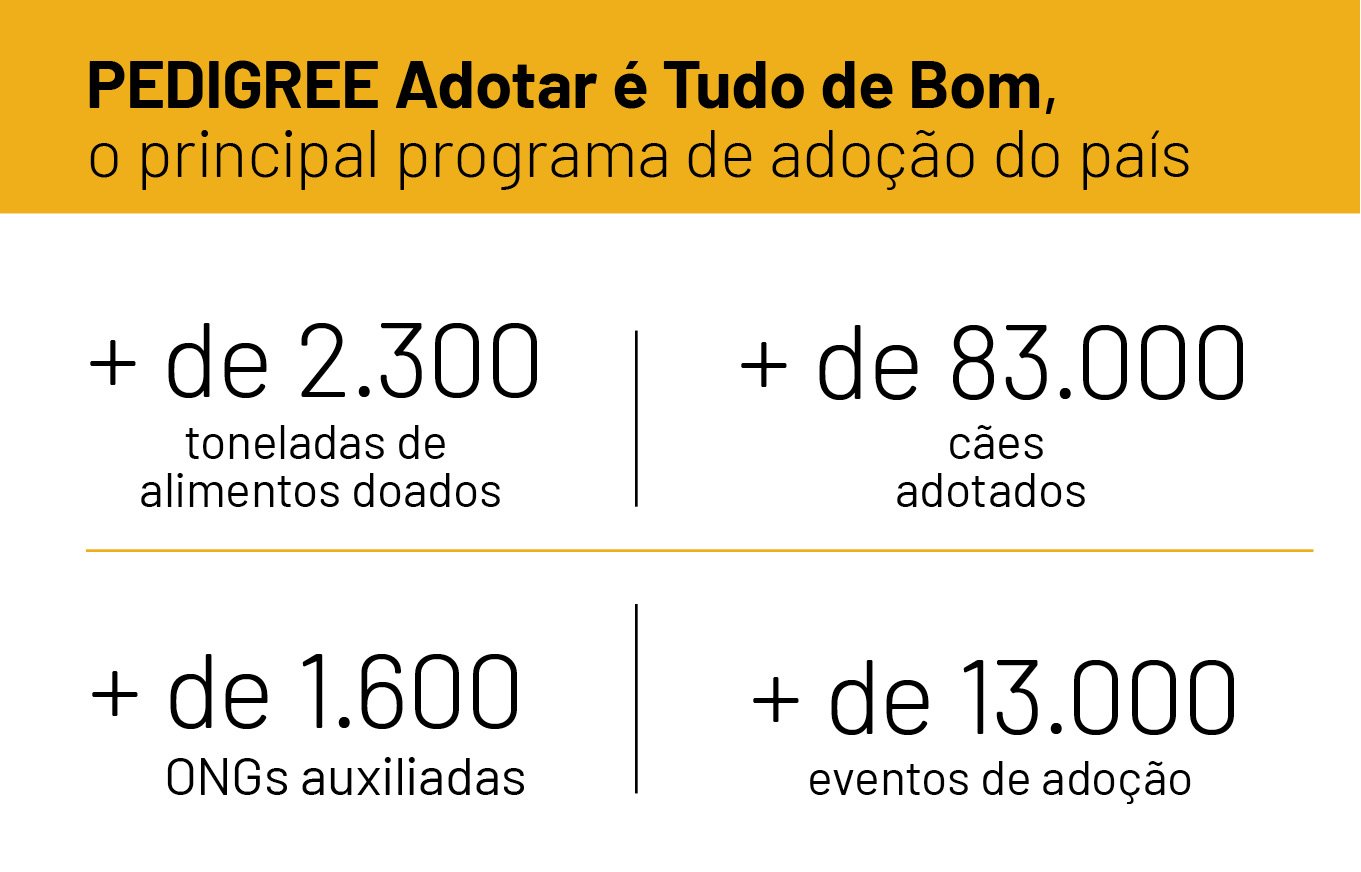 Maior programa de adoção de pets do Brasil já ajudou mais de 83 mil cães a encontrar um lar Maior programa de adoção de pets do Brasil já ajudou mais de 83 mil cães a encontrar um lar