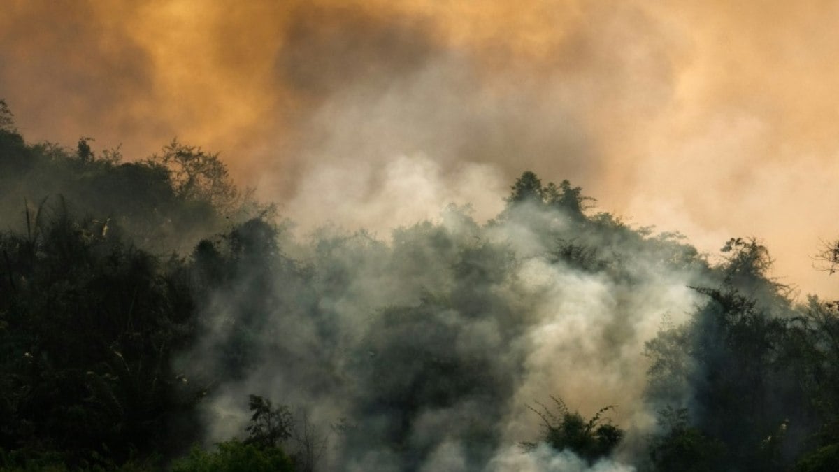Seca e incêndios incomuns preocupam setor agrícola no Brasil Seca e incêndios incomuns preocupam setor agrícola no Brasil