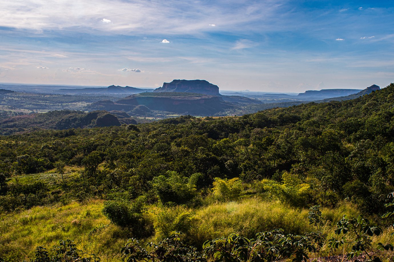 Dia do Cerrado: fogo queimou área maior do que a de países como Chile e Turquia nos últimos 39 anos Dia do Cerrado: fogo queimou área maior do que a de países como Chile e Turquia nos últimos 39 anos