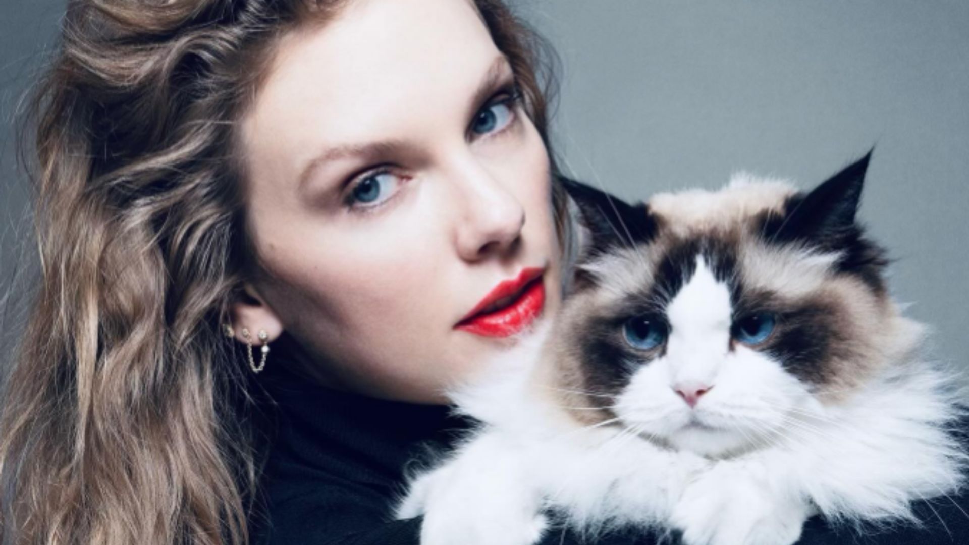 Taylor Swift tem gata avaliada em R$ 506 milhões Taylor Swift tem gata avaliada em R$ 506 milhões